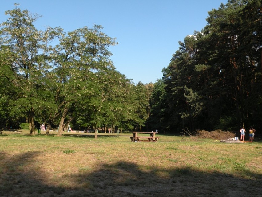 Park Leśny „Strzelnica" zmieni się w muzeum historyczne