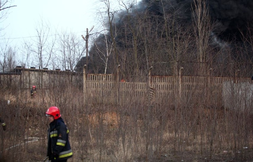 Pożar przed firmą tuningową na terenie Wifamy