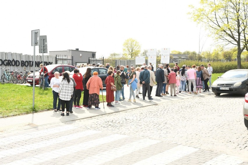 Mnóstwo atrakcji podczas otwarcia Ogrodu Botanicznego w Kielcach. Zobacz, co się działo