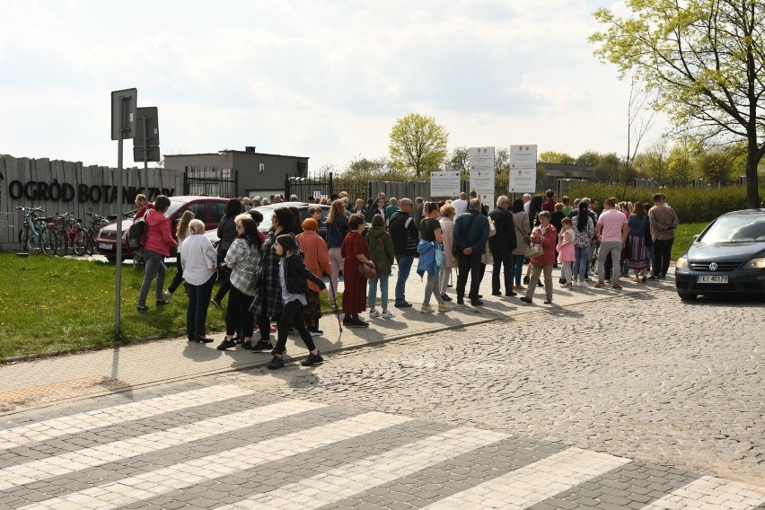 Mnóstwo atrakcji podczas otwarcia Ogrodu Botanicznego w Kielcach. Zobacz, co się działo