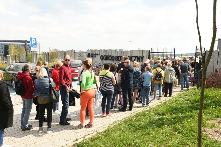 Mnóstwo atrakcji podczas otwarcia Ogrodu Botanicznego w Kielcach. Zobacz, co się działo