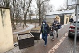 Remontują zabytkowy mur w parku miejskim w Kielcach. Ponad rok temu został uszkodzony w czasie wichury [ZDJĘCIA]