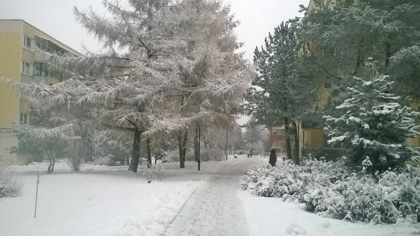 Zima w Lublinie. Spadł śnieg i zrobiło się jak w bajce (FOTO)