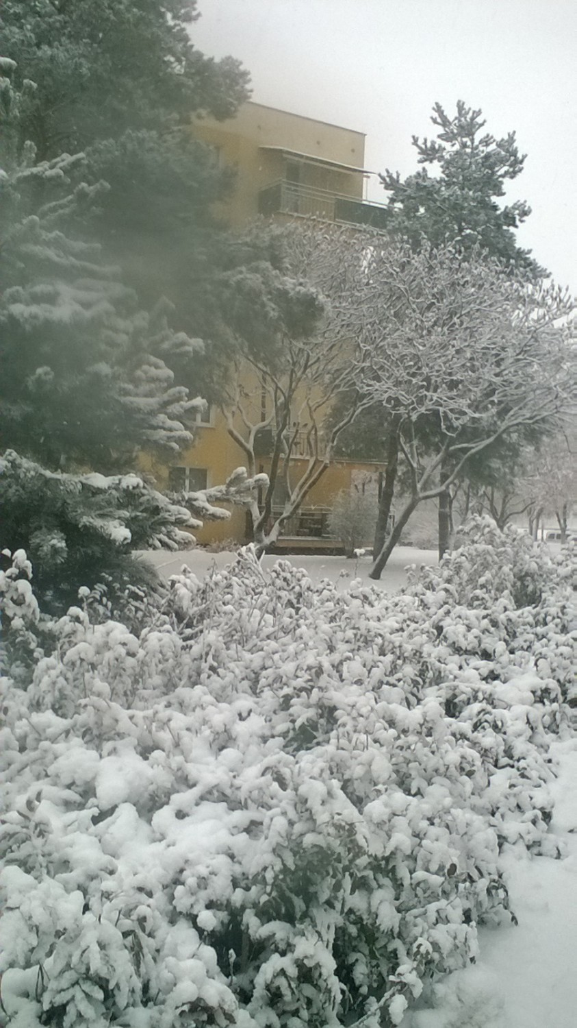 Zima w Lublinie. Spadł śnieg i zrobiło się jak w bajce (FOTO)