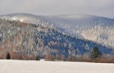 Przepiękna zima w Bieszczadach. Pokryte śniegiem góry i lasy prezentują się okazale [ZDJĘCIA]