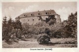 Świebodziński zamek z lat 20-tych i 30-tych na archiwalnych pocztówkach [ZDJĘCIA]