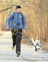 Dogtrekking. Sport dla czworonogów i ich właścicieli