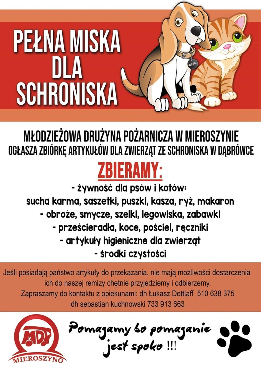 OSP Mieroszyno - zbiórka dla schroniska w Dąbrówce