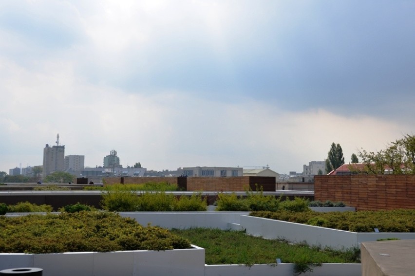 Ogród na dachu Centrum Nauki Kopernik. W majówkę otwarcie punktu widokowego nad Wisłą 