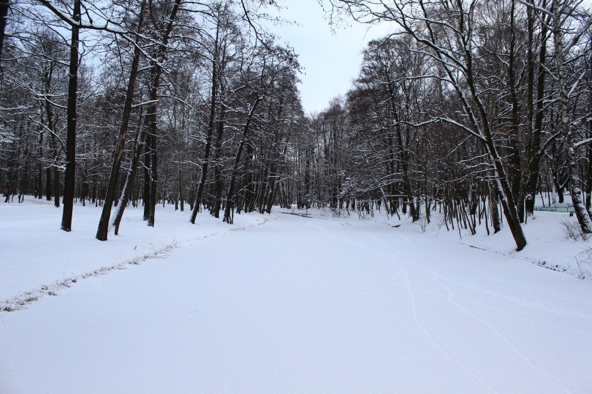 Zima 2016 w Parku Julianowskim