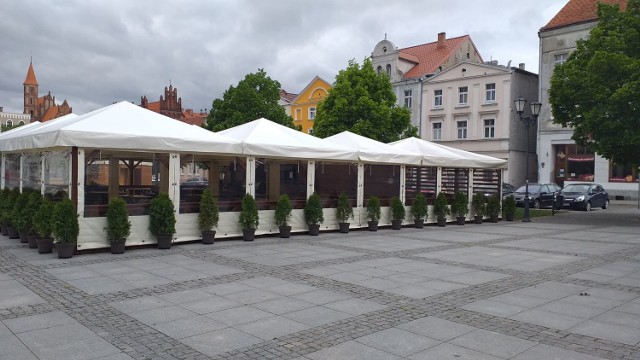 Na chełmińskim rynku już widzimy, jak wyrastają ogródki piwne. I nie tylko tutaj