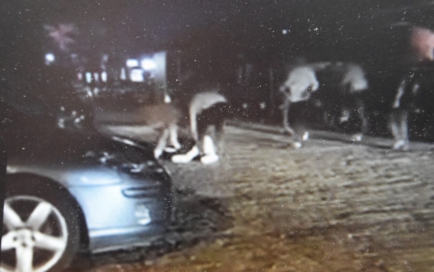 Ochrona pobiła gości klubu w Uniejowie. Policja wyjaśnia drastyczny incydent FILM +18