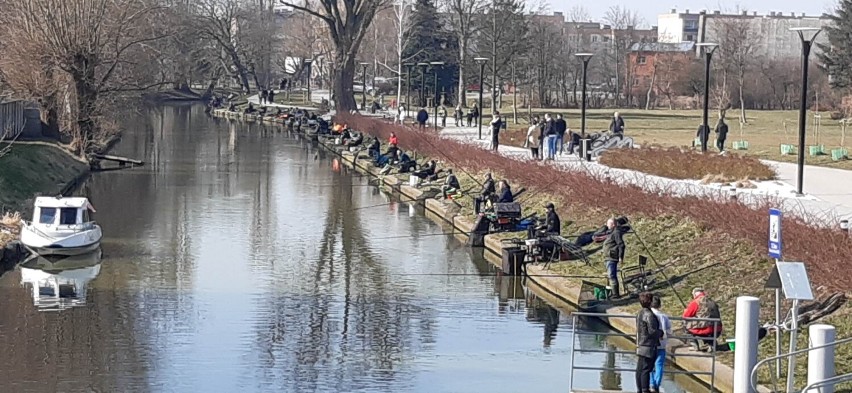 Niedzielne zawody wędkarskie nowodworskiego koła. Złowiono ponad 80 kg ryb i zebrano pieniądze na protezę