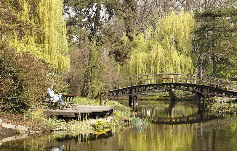 Ogród Botaniczny - niezwykłe miejsce w centrum Wrocławia