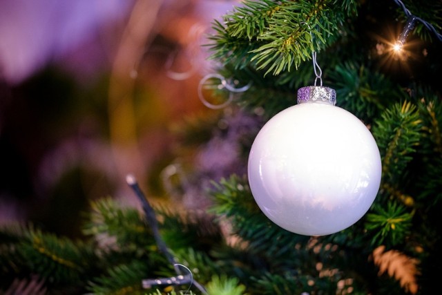 W ramach bożonarodzeniowej tradycji ścinane są miliony świerków. Choinka zdobi wnętrze domu i tworzy magiczną atmosferę. Ale chcąc zatroszczyć się o środowisko, zamiast kupować można wypożyczyć żywe drzewko, a po świętach zwrócić je naturze.