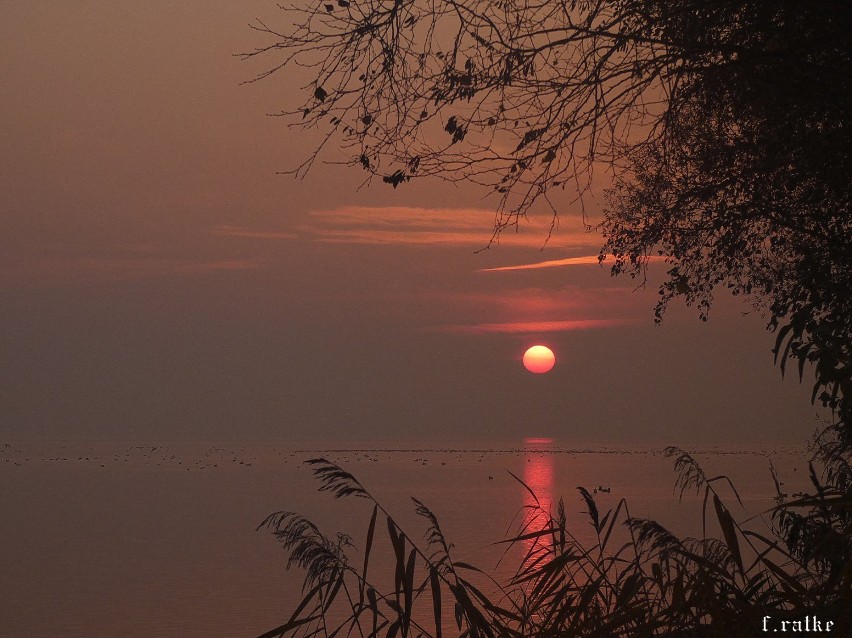 Foto Powiat Pucki. Oto bardzo niezwykły jesienny i fotograficzny spacer po Pucku i okolicy