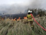 Gorlickie. Pożar suchych traw na łąkach w Krygu. Nad wsią unosił się słup gęstego dymu. Interweniowali strażacy [ZDJĘCIA,VIDEO]