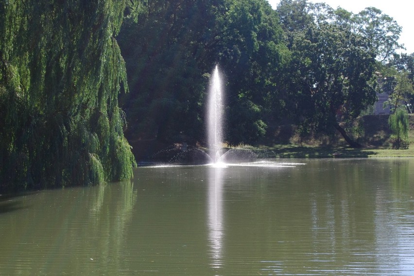 Są już fontanny w Parku Miejskim w Zamościu!