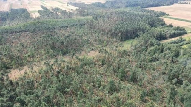 Zobacz kolejne zdjęcia. Przesuwaj zdjęcia w prawo - naciśnij strzałkę lub przycisk NASTĘPNE