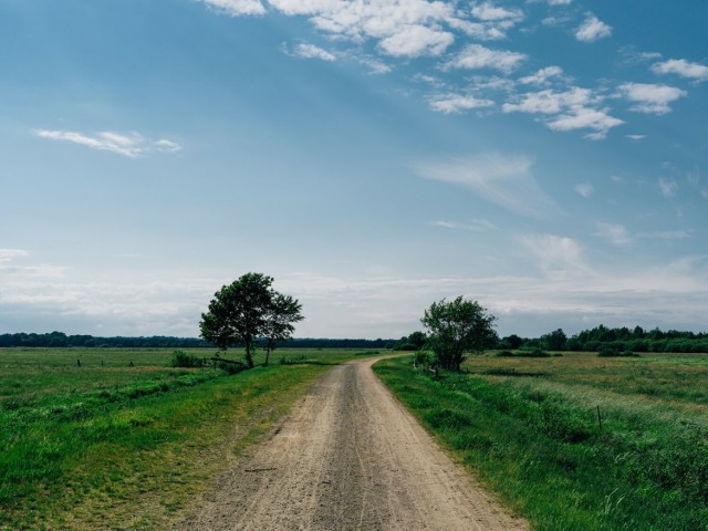 Ponad 22 mln zł na drogi, drzewa i zbiorniki wodne. Beneficjentami także gminy z powiatu kaliskiego