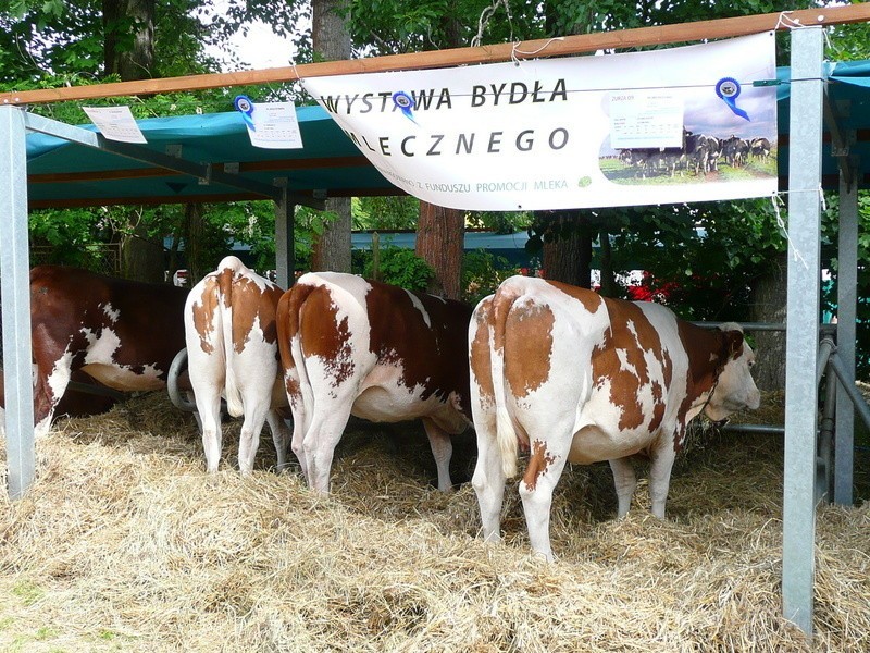 XXI Targi Rolnicze - Lubniewice 2012