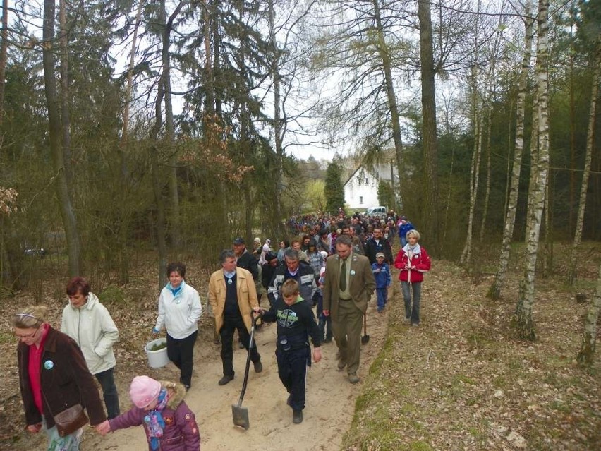 Margonin: Leśna akcja przedszkolaków. Posadziły 1,5 tys. sosen [FOTO]