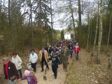 Margonin: Leśna akcja przedszkolaków. Posadziły 1,5 tys. sosen [FOTO]