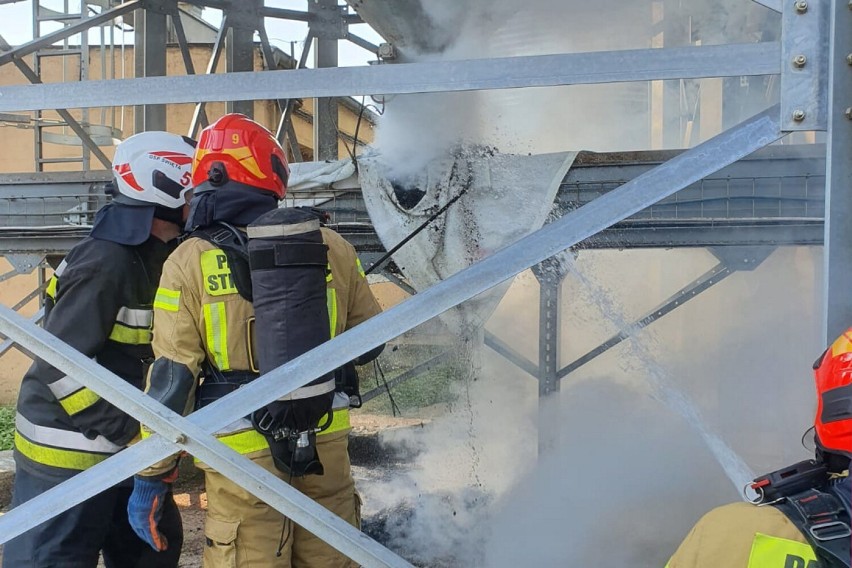 Pożar w Mieszalni Pasz w Złotowie. W akcji gaśniczej brało udział 24 strażaków