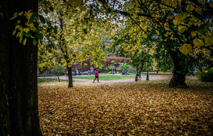 Jesienny weekend w Gdańsku. Spacerowicze w Parku Oliwskim [zdjęcia]