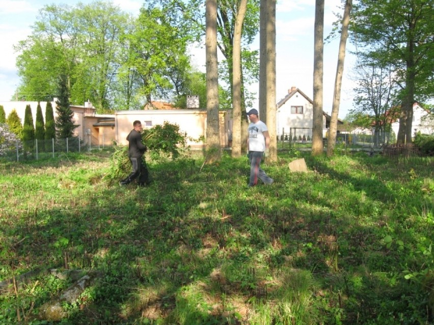 Sołtys Halina Żydecka zorganizowała sprzątanie cmentarza w...