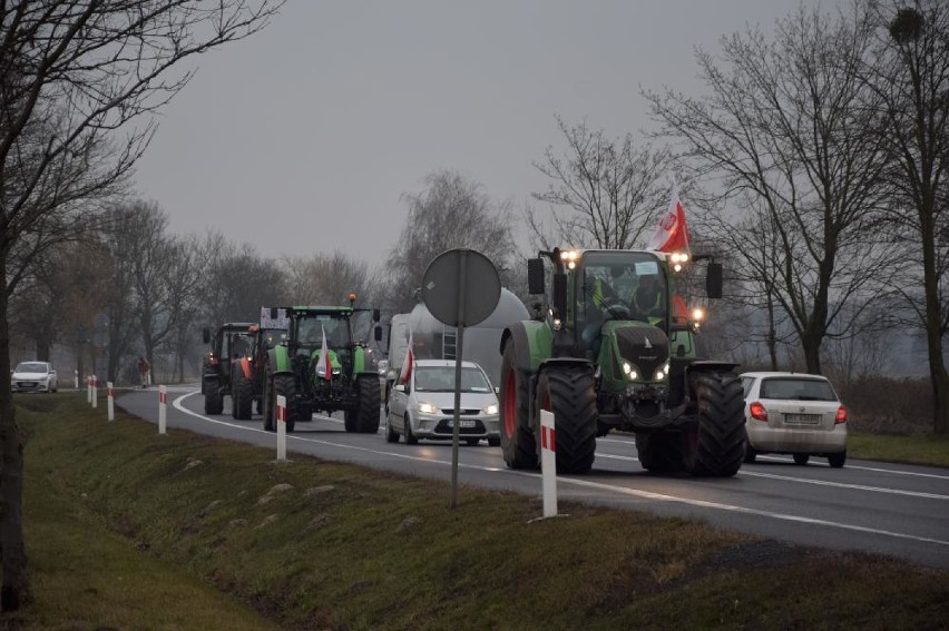 Protest rolniczy. Kolumna ciągników rolniczych przez 3 godziny jeździła po drodze nr 11 (ZDJĘCIA)