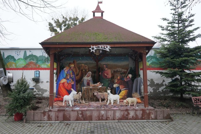 Na Topolowym Fyrtlu, czyli przy ul. Rolnej 32 w Poznaniu po raz kolejny stanęła świąteczna szopka autorstwa Jerzego Łuczaka. W tym roku oprócz figurek Maryi, Józefa i dzieciątka, można w niej podziwiać m.in. poznański akcent w postaci koziołków.  

Zobacz więcej zdjęć ---->