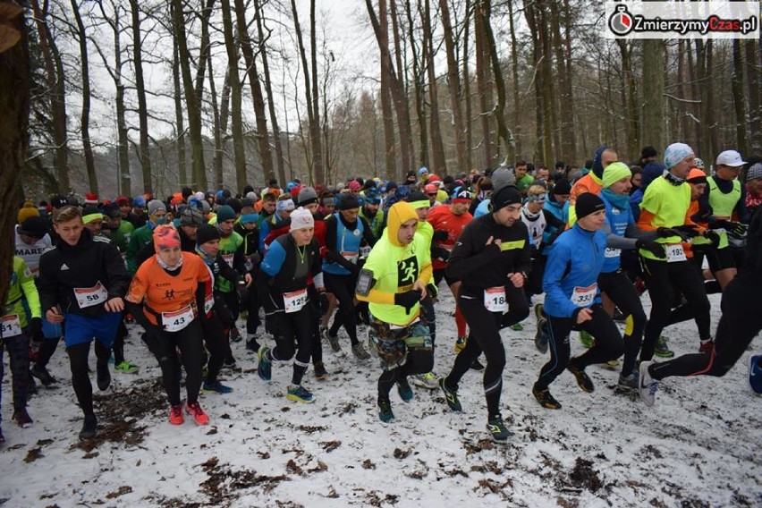 Bieg po Choinkę 2018 w Lublińcu. Wystartowało 350 osób, które pobiegły leśnymi duktami na 500, 1000 i 5000 m ZDJĘCIA 