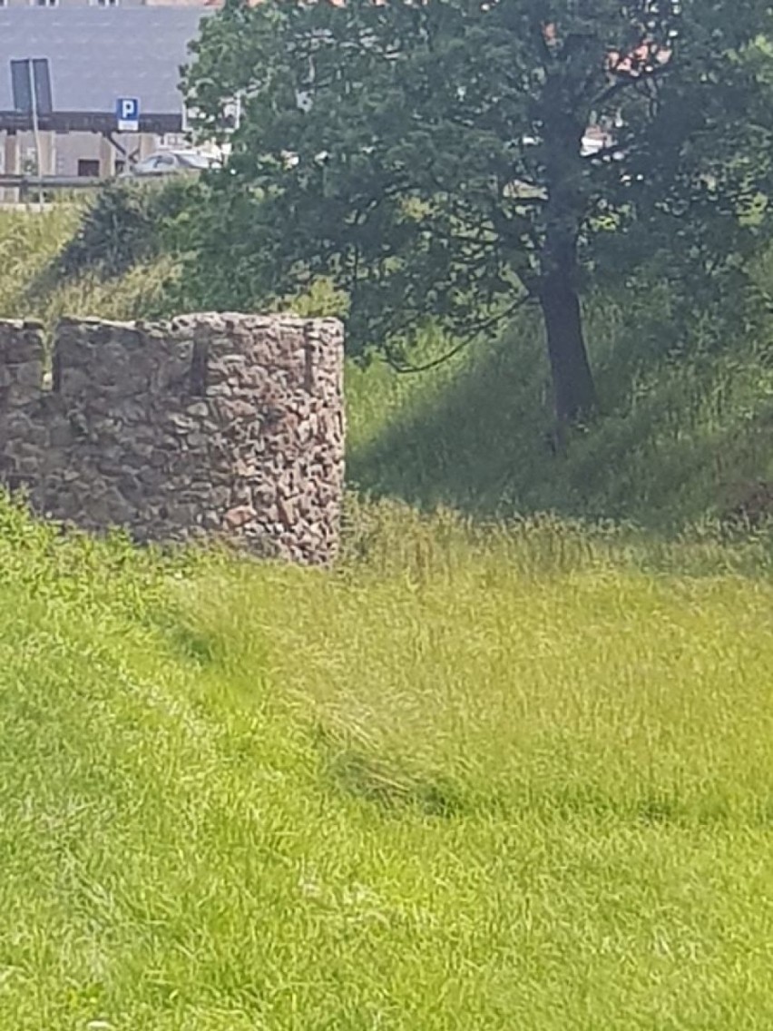 Kożuchów to miasto cennych zabytków.