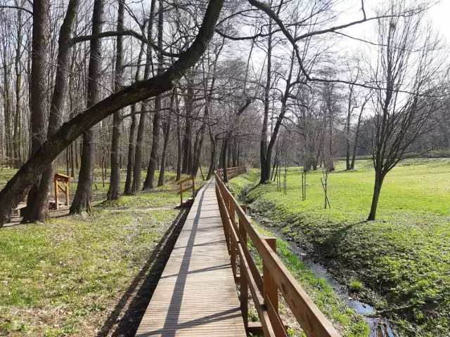 Dolina Trzech Stawów w Katowicach