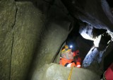 Nietoperze mają się dobrze w jaskiniach i sztolniach. Tak wynika z najnowszego „spisu” tych ssaków [ZDJĘCIA]