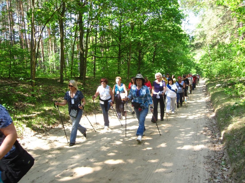 I Pielgrzymka Nordic Walking w Strefie Sacrum. Międzyrzecz...