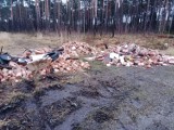 Ktoś wyrzucił setki kilogramów śmieci do lublinieckich lasów. Szukają sprawców