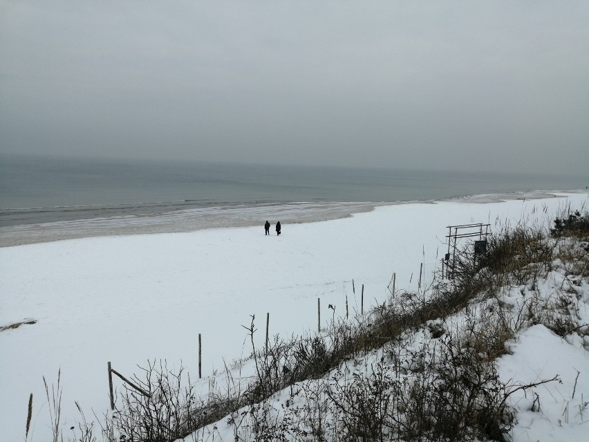 Bałtyk w zimowej oprawie. Plaża w Stegnie przyozdobiona śniegiem