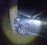 Kierowca BMW uszkodził płot, po czym uderzył w drzewo