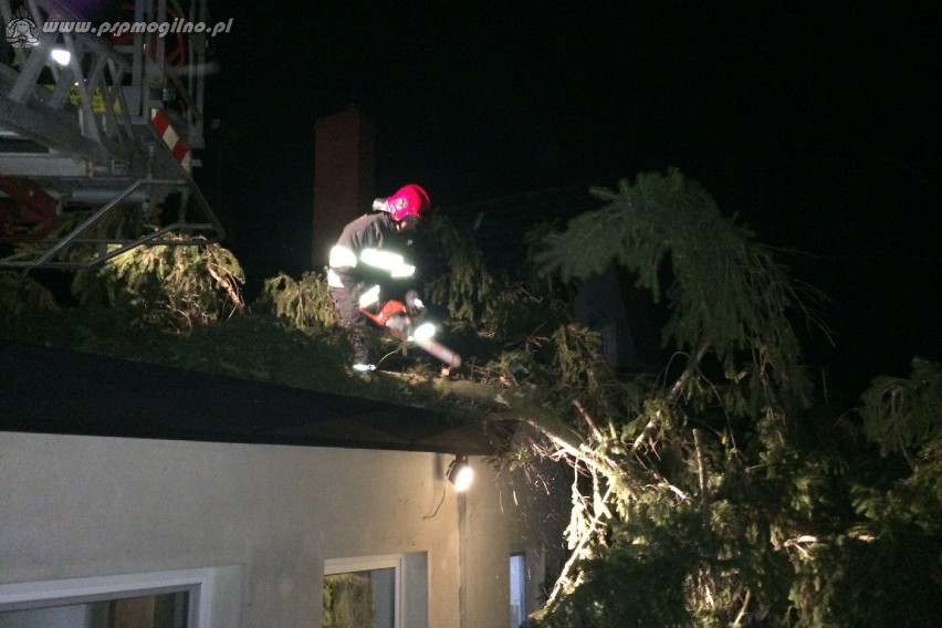 Drzewo przewrócone na budynek mieszkalny