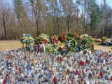 Druga rocznica śmierci Krzysztofa Krawczyka. Jego muzyka poruszała miliony. Tak wygląda grób słynnego piosenkarza