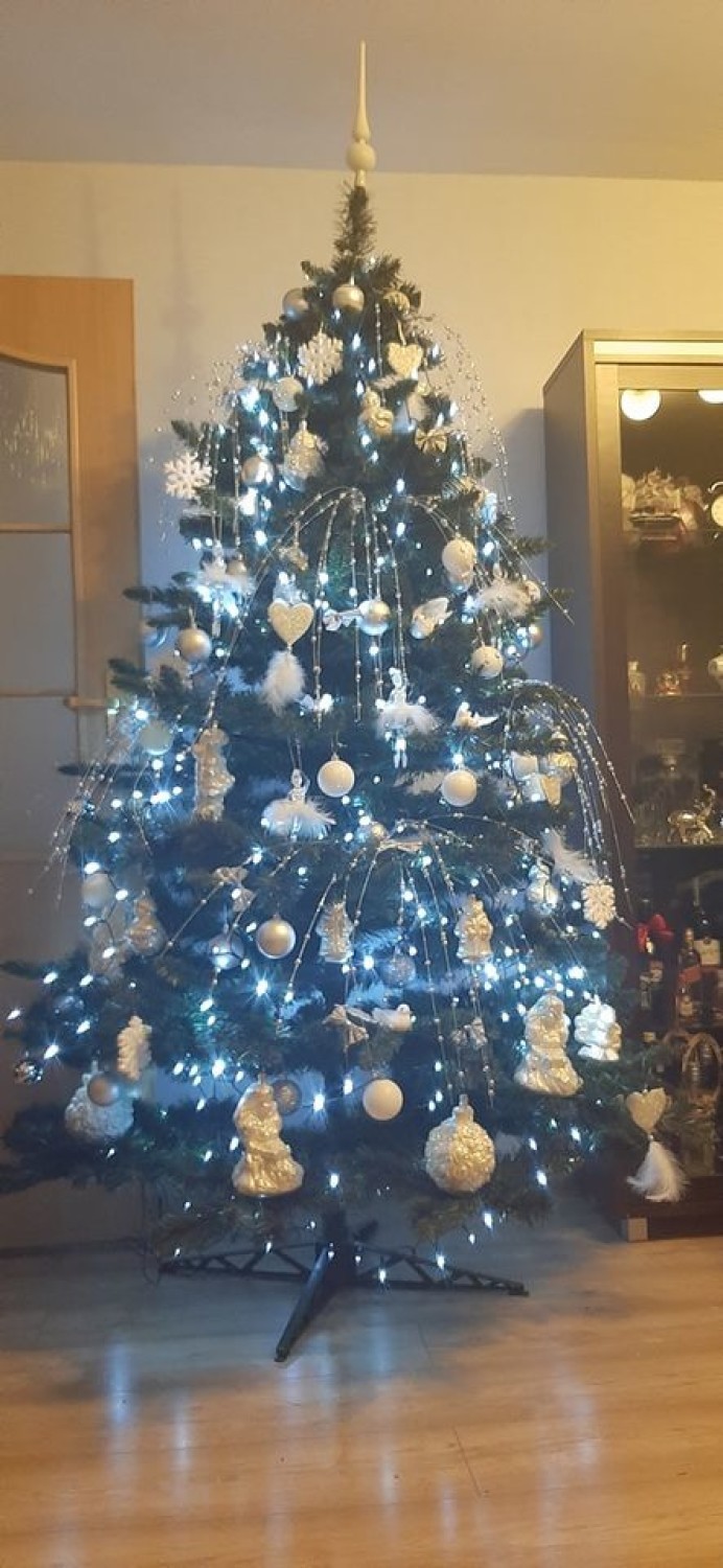 Choinki w Rawiczu. Oto świąteczne drzewka naszych Czytelników! Tradycyjne lub nietuzinkowe - wszystkie są najpiękniejsze [ZDJĘCIA]