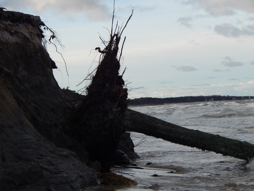 Wietrzna pogoda i wzburzone morze niszczy klify w Orzechowie
