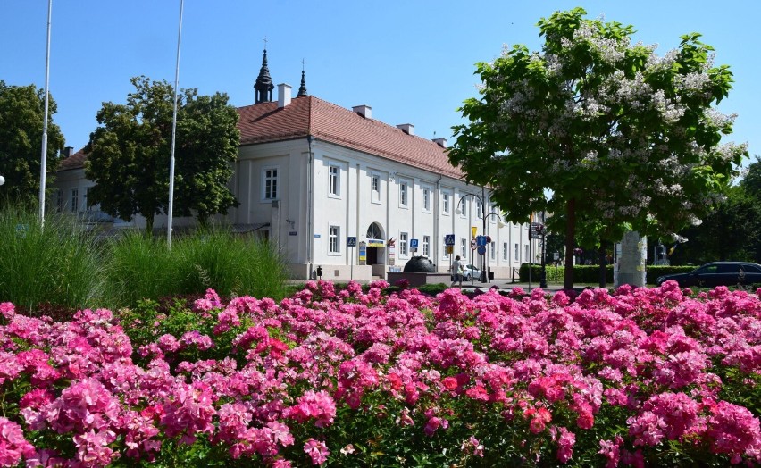 Kwietne kompozycje w centrum Wielunia cieszą oczy mieszkańców i turystów FOTO