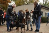 Toruń. Mieszkańcy wyprowadzili na spacer psy ze schroniska