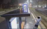 Grudziądz. Ustalono chuligana, który kamieniem wybił szybę wiaty przystanku tramwajów MZK Grudziądz.  Zobacz zdjęcia