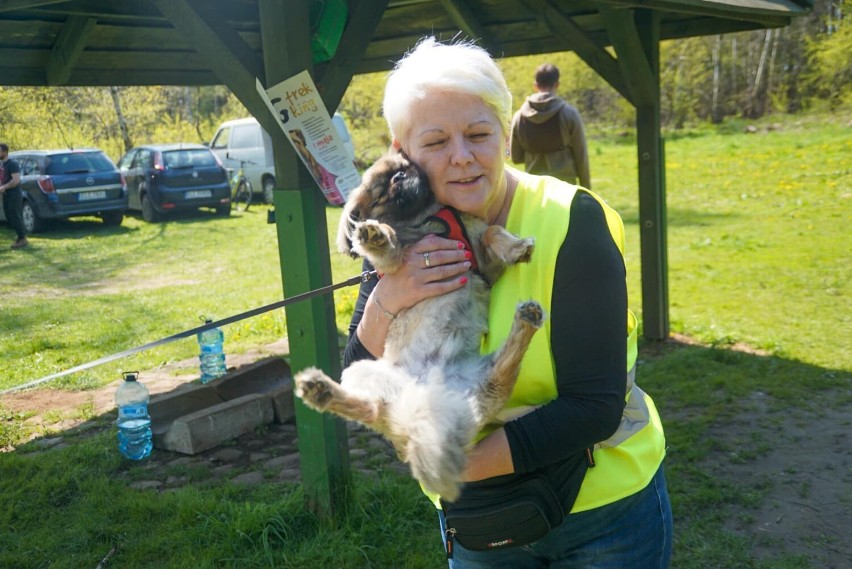 Aktywnie, w terenie i z przyjacielem – wiosenny dogtrekking w Łowiczu