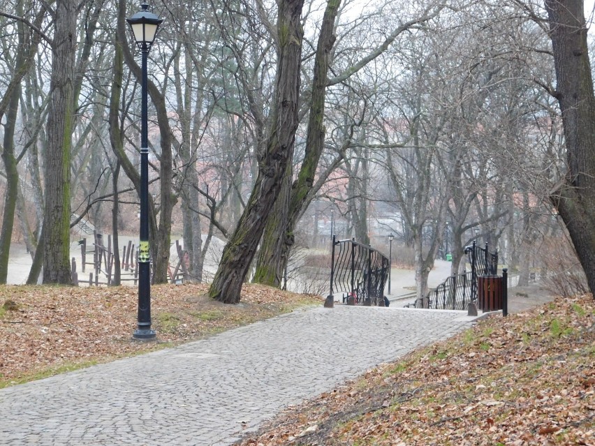 Park Sobieskiego w Wałbrzychu jest świetnym miejscem na styczniowy spacer. Sprawdziliśmy