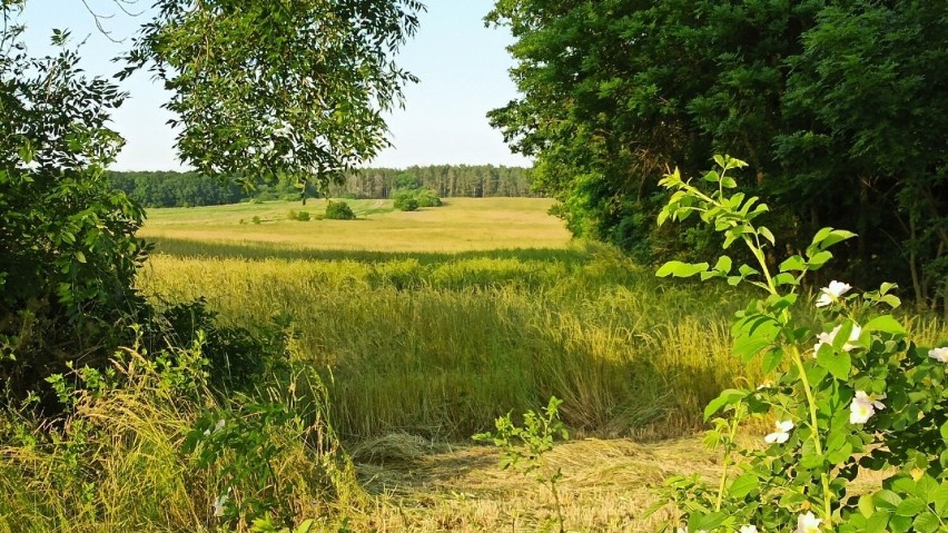 Tak wyglądają obecnie okolice Bukowicy. Mieszkańcy obawiają...